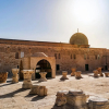 Отель Al Saraya Grand, фото 14