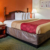 Отель Econo Lodge Inn & Suites, фото 6