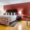 Отель Red Roof Inn Chicago - Alsip, фото 19