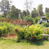 Отель Capital O 871 Baan Ping Kan Longstay, фото 25