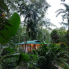 Отель Geckoes Lodge, фото 21