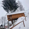 Отель Complex Căsuțe Căsuța din Deal Moisei, фото 13