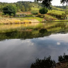 Отель Pousada e Pesca Esportiva Fazolin, фото 24
