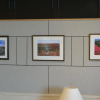 Отель Spa & Hotel Resort Furano La Terre, фото 6
