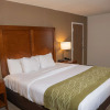 Отель Comfort Inn & Suites, фото 25