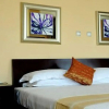 Отель Destiny Addis Hotel, фото 5