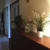 Отель Darius Firenze B&B, фото 10