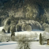 Отель Sport-Alpin-Wohnung-110, фото 15