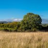 Отель The Shepherds Retreat, фото 20