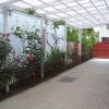 Гостиница Guest House U Viktora, фото 11
