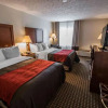 Отель Comfort Inn Atkins, фото 3