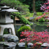 Отель Yoshiike, фото 10