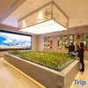 Отель Jin Cheng Hotel, фото 31