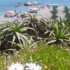 Отель 2054-Estupendo apto nuevo-en playa-acceso piscina, фото 15