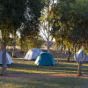 Отель Discovery Parks - Alice Springs, фото 19