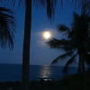 Отель Coconut Beach Homestay, фото 20