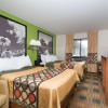 Отель Super 8 by Wyndham Rochester Mayo Clinic Area, фото 6