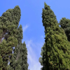 Отель Villa Guarnaschelli, фото 4