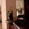 Отель Zan Hotel, фото 17