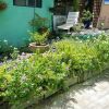 Отель House with One Bedroom in Schoelcher, with Furnished Terrace And Wifi - 20 M From the Beach, фото 14