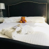 Отель Cambridge Villa Hotel, фото 5