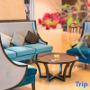 Отель Yucca  Hotel, фото 6