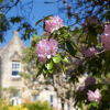 Отель Stonefield Castle Hotel, фото 25