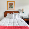 Отель OYO Hotel San Antonio East, фото 6