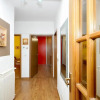 Отель Apartments Penić, фото 14