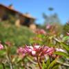 Отель Pousada Cafezal em Flor, фото 29