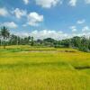 Отель Danakha Villa Ubud, фото 18