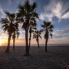 Отель Camping Vendrell Platja, фото 16