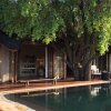 Отель Madikwe Hills Private Game Lodge, фото 19