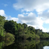 Отель My Amazon Lodge, фото 7