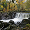 Отель Innisfallen Hotel, фото 7