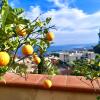 Отель Villa Giannina, фото 11