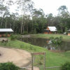Отель Rainforest Ranch, фото 12