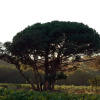 Отель Château Maravenne, фото 18