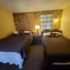 Отель Falls Motel, фото 3