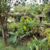 Отель Eco Lodge El Porvenir, фото 8