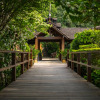 Отель Popa Mountain Resort, фото 10