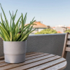 Отель Guestready - Chromaticity, фото 15