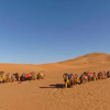 Отель Riad Les jardins de Merzouga, фото 8