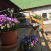 Отель Skummeslöv B&B, фото 32