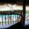 Отель The Calmtree Bungalows, фото 14