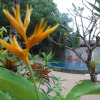 Отель Vientiane Garden Villa Hotel, фото 20