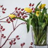 Отель Orvieto Aroma Rooms 1, фото 16