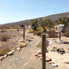 Отель Gondwana Family Lodge, фото 16