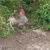 Отель Casa Rural Pocotrigo, фото 14