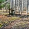 Отель Creekside Cottage Star 5 Vacations, фото 17